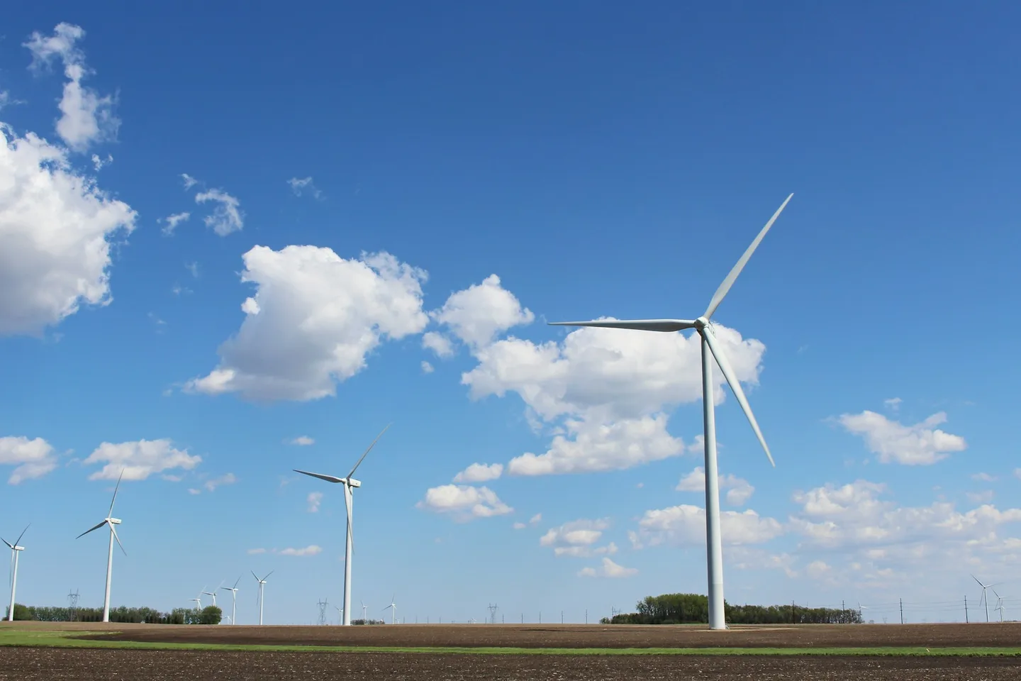 Windräder auf einem Feld unter blauem Himmel – Symbolbild zur Energieversorgung